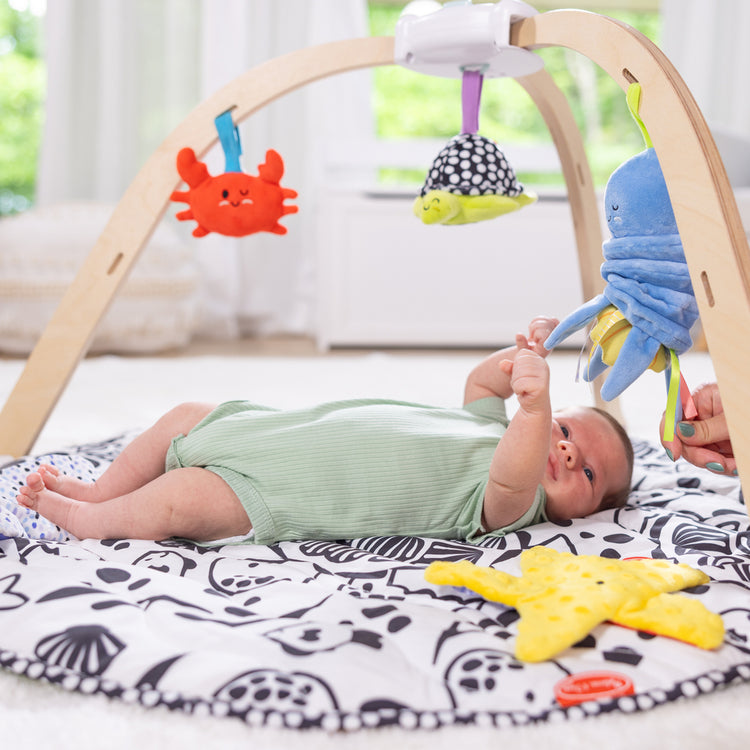 Melissa & Doug Toy Spotlight Ocean Easy-Fold Play Gym blog post