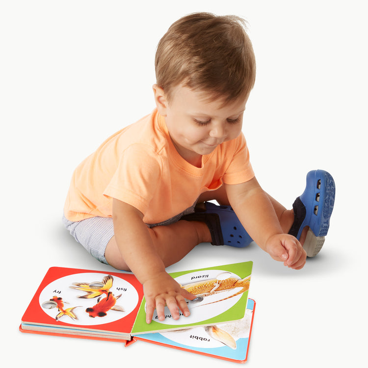 A child on white background with The Melissa & Doug Children’s Book – Poke-a-Dot: Pet Families (Board Book with Buttons to Pop)