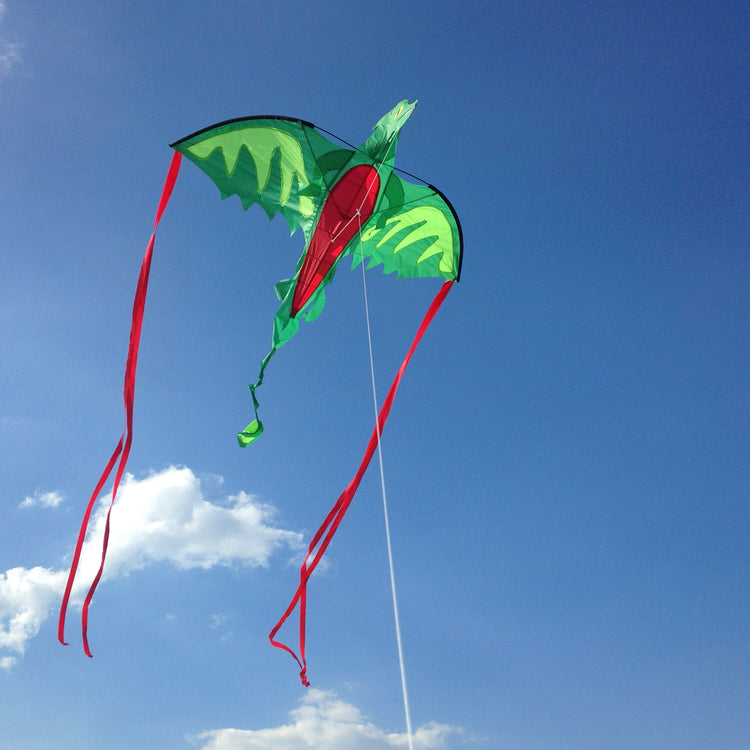 A kid playing with The Melissa & Doug Winged Dragon Shaped Kite (62-Inch Wingspan)