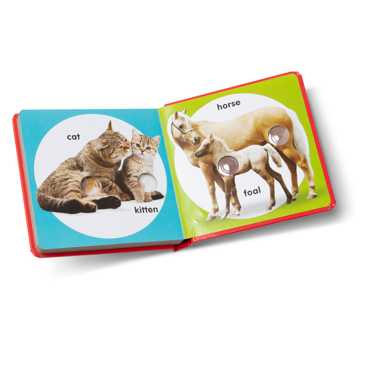 The loose pieces of The Melissa & Doug Children’s Book – Poke-a-Dot: Pet Families (Board Book with Buttons to Pop)