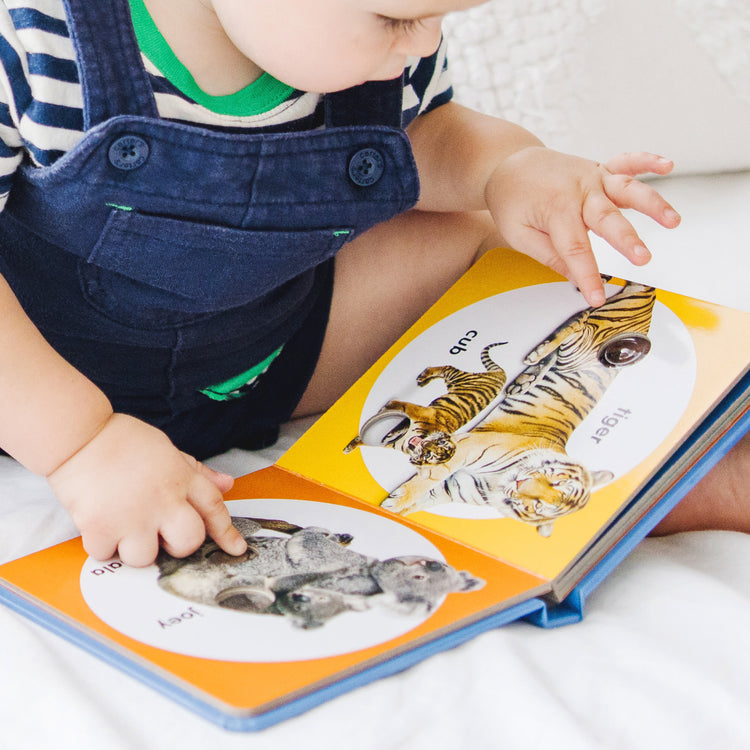 A kid playing with The Melissa & Doug Children’s Book – Poke-a-Dot: Wild Animal Families (Board Book with Buttons to Pop)