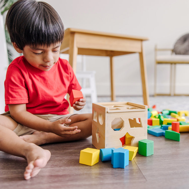 A kid playing with The Melissa & Doug Stack, Sort & Pound Wooden Toy Collection (Building Blocks, Shape Sorter, Pounding Bench)