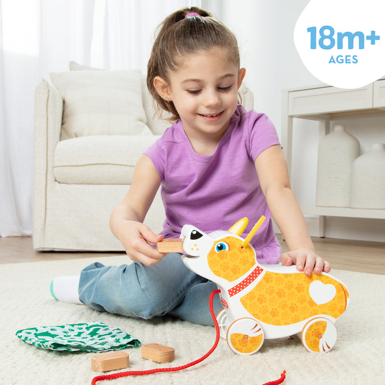 Feed, Walk & Poo Pup Play Set