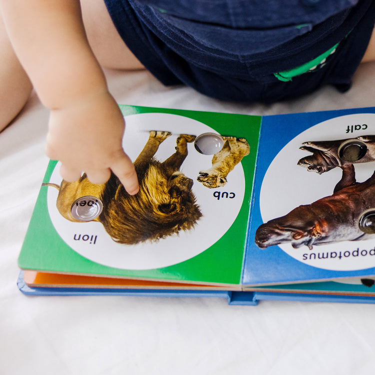 A kid playing with The Melissa & Doug Children’s Book – Poke-a-Dot: Wild Animal Families (Board Book with Buttons to Pop)