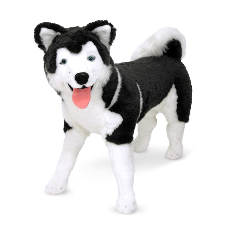 An assembled or decorated the Melissa & Doug Giant Siberian Husky - Lifelike Stuffed Animal Dog (over 2 feet tall)